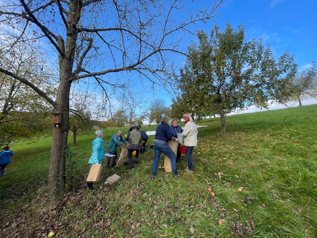 Bei der Apfelweingruppe dreht sich wieder alles um den Apfel